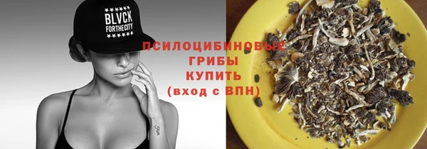 экстази Богданович